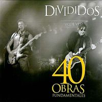 Divididos - ¿Que Ves? 40 Obras Fundamentales