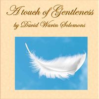 David Warin Solomons - A Touch of Gentleness