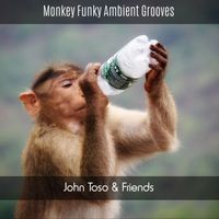 John Toso & Friends - Monkey Funky Ambient Grooves
