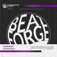 QubiqueSmall - Leakage