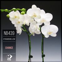 DynamicMellow - Chance