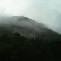 hallow - shutter