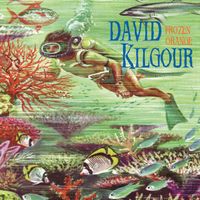 David Kilgour - Frozen Orange