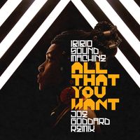 Ibibio Sound Machine - All That You Want (Joe Goddard Remix)