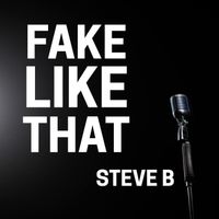 Steve B - Fake Like That