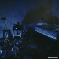 Flavio - Ando despistado