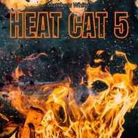 Matthew White - Heat Cat 5
