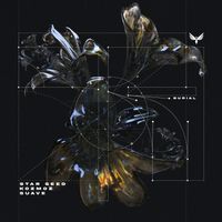 STAR SEED - Burial