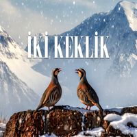 Mt - İki Keklik