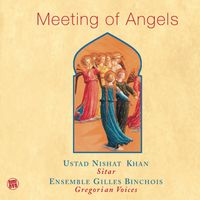 Ustad Nishat Khan - Meeting of Angels