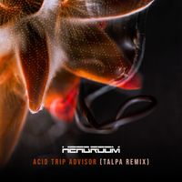 Headroom (SA) - Acid Trip Advisor (Talpa remix)