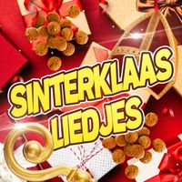 Sinterklaasliedjes - Alleen De Beste Sinterklaasliedjes!
