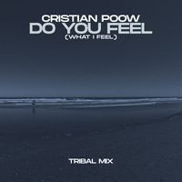 Cristian Poow - Do You Feel (What I Feel) (Tribal Mix)