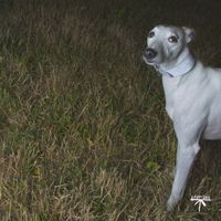 Brigade - Smarty Jones