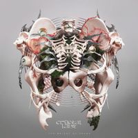 Crystal Lake - The Weight of Sound
