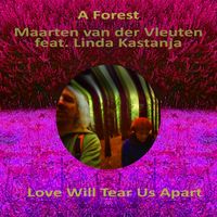 Maarten van der Vleuten - A Forest / Love Will Tear Us Apart