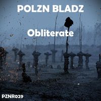 Polzn Bladz - Robert Hatt