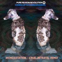 Pure Reason Revolution - Cruel Betrayal (Wondastation Remix)