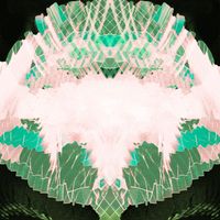 Bostro Pesopeo - Sleep State