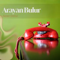Sezen Gönül - Arayan Bulur