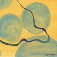 Coconut - In the end