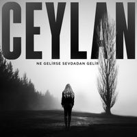 Ceylan - Ne Gelirse Sevdadan Gelir
