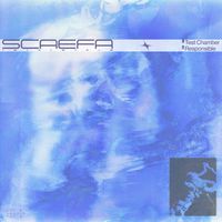 Scaefa - Test Chamber / Responsible