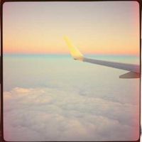 David Happier - Flying the Friendly Skies