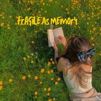 South - Fragile As Memory