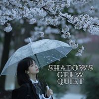 South - Shadows Grew Quiet