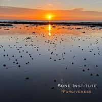 Sone Institute - Forgiveness