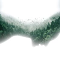 Soul Frequency - Nature’s Perfection