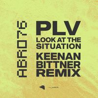 PLV - Look At The Situation