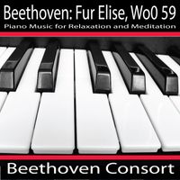 Beethoven Consort - Beethoven: Fur Elise, Woo 59