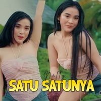 Nelly - Satu Satunya