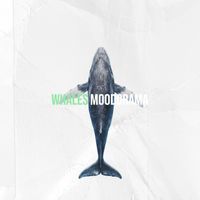 Moodorama - Whales