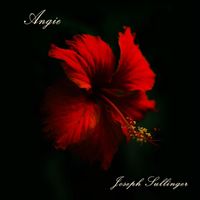 Joseph Sullinger - Angie (Instrumental)