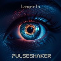 Pulseshaker, Ingo Herrmann - Labyrinth