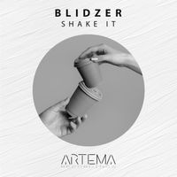 BlidZer - Shake It