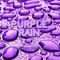 PURPLE RAIN - Promises You Made