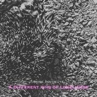 Sone Institute - A Different Kind of Loneliness