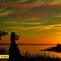 Hamburg Chamber Orchestra - Concierto De Brandemburgo #1