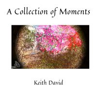 Keith David - A Collection of Moments