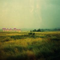 Ferdi Mark - Thick Fog