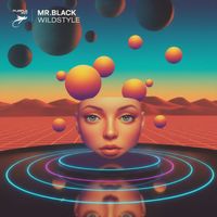 MR.BLACK - Wildstyle