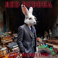 Red Buddha - Follow the White Rabbit