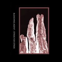 Bleaching Agent - Stride For Stride