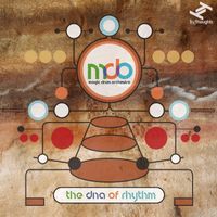 Magic Drum Orchestra, Biggabush - The DNA of Rhythm