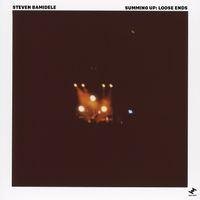 Steven Bamidele - Summing Up: Loose Ends