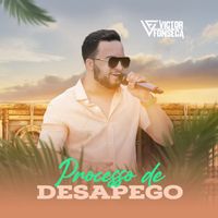 Victor Fonseca - Processo De Desapego